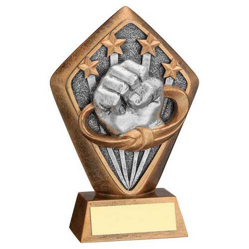 Personalised Martial Arts Fist and Belt Shield Trophy