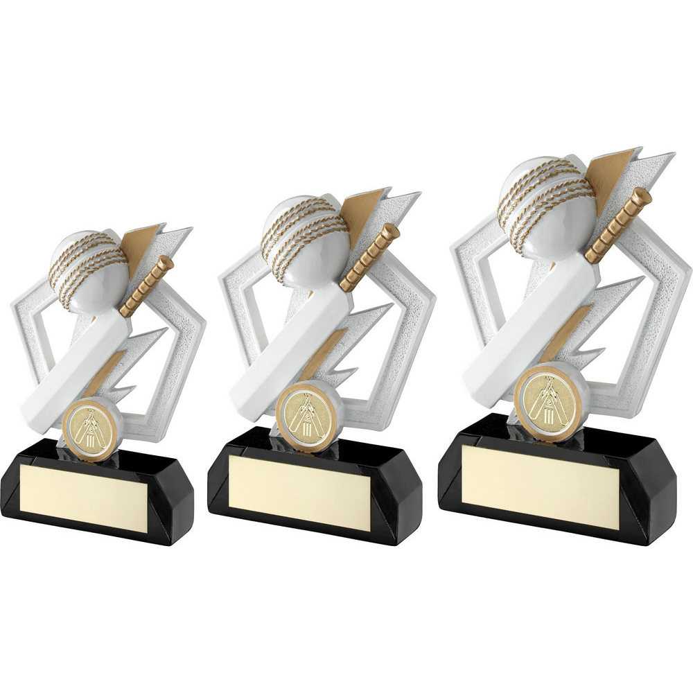 Personalised Cricket Bat and Ball Trophy with Club Logo