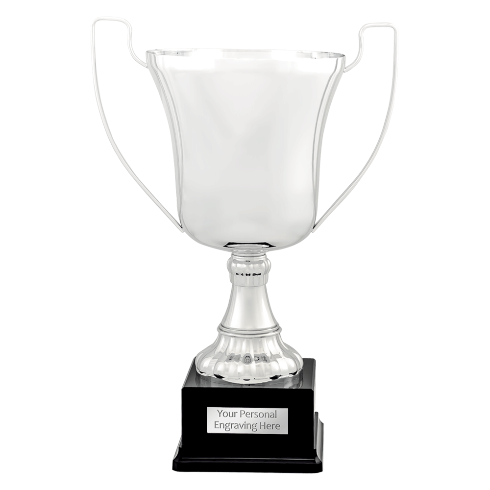 Prestige Metal Cup (2185D/E/F) BW Trophies