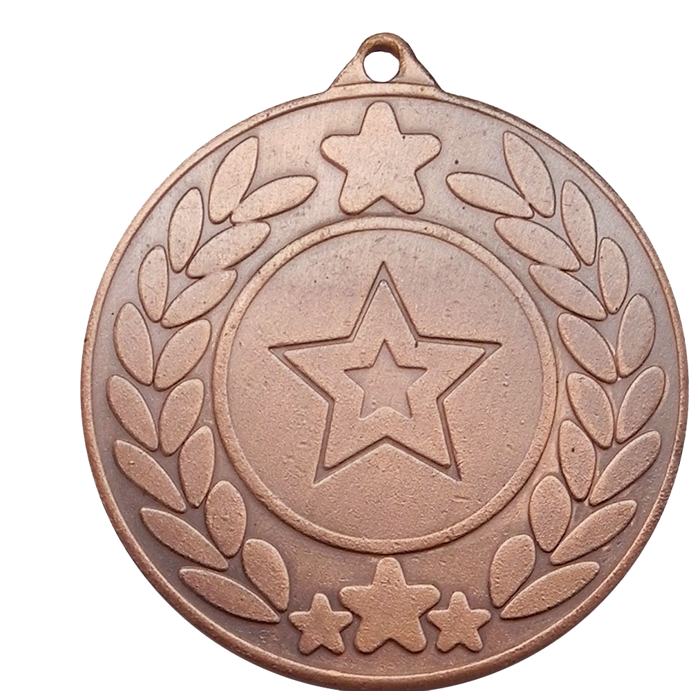 The Glossy 50mm Classic Star Medal on a Ribbon MINIMUM ORDER 100 BW Trophies