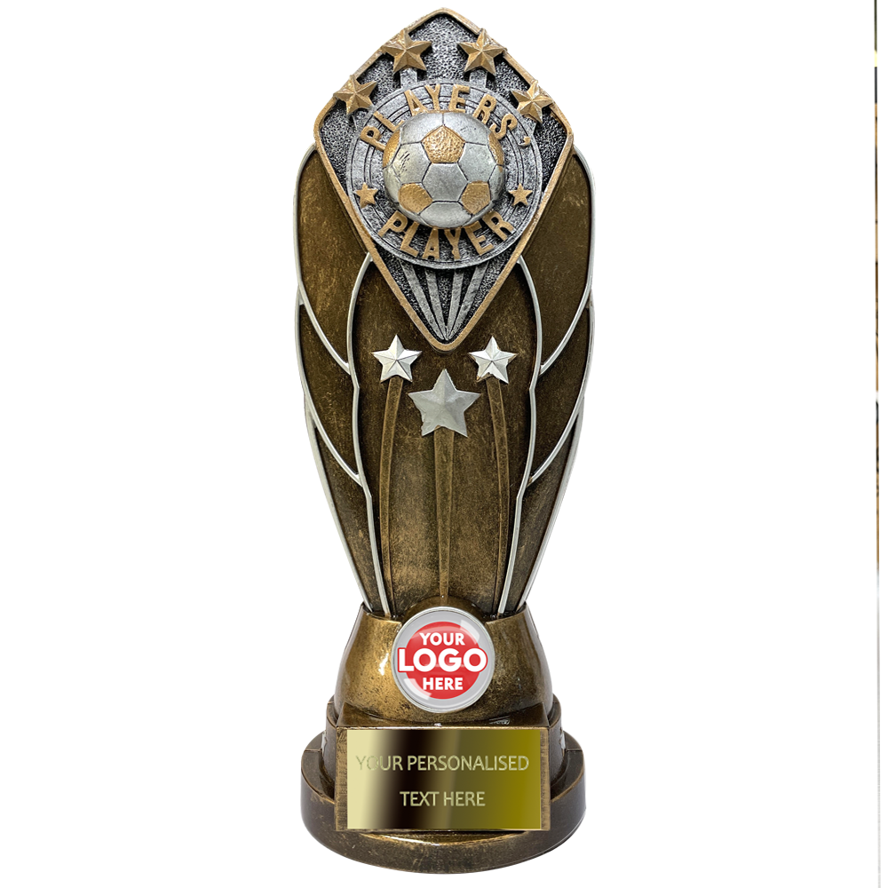 Antique Gold and Silver Multipurpose Football Award (F1021/3/7C)