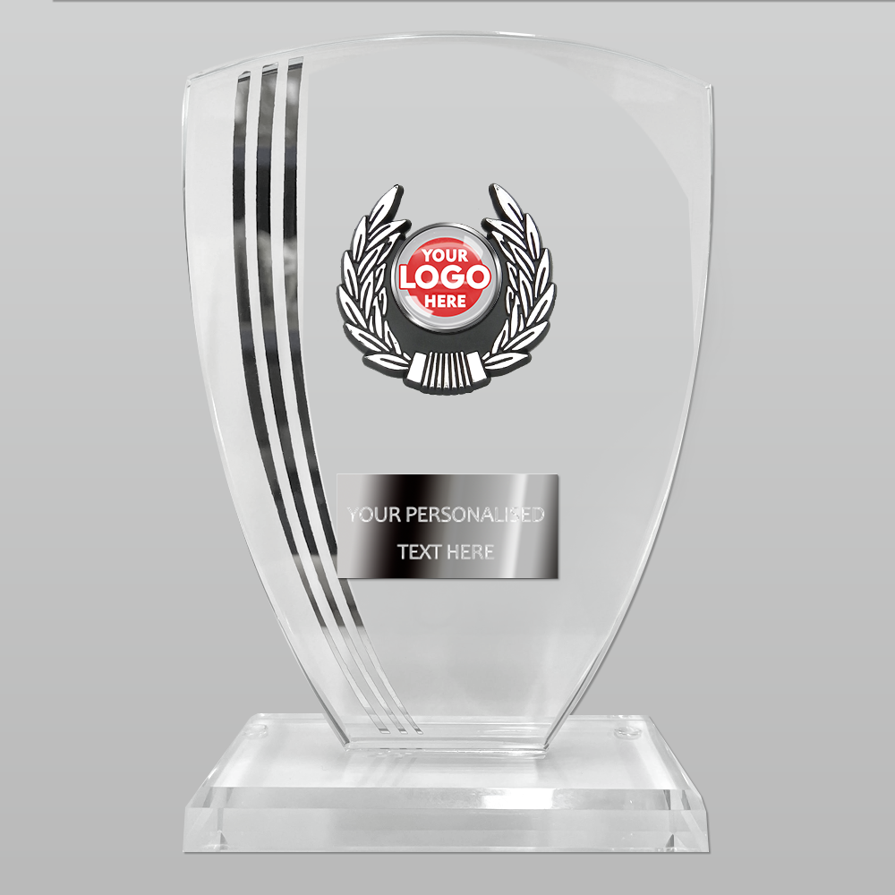 Quality Glass Award with Silver Elements in Presentation Box (T3682)