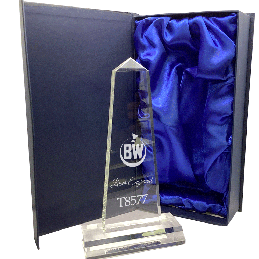 Multi-Purpose Lasered Obelisk Acrylic Award (T8577) BW Trophies