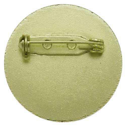Personalised Steel Pin Badge with Domed Insert (Gold or Silver) - 30mm