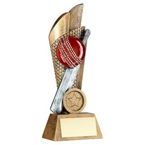 Personalised Cricket Ball and Bat Net Tower Trophy
