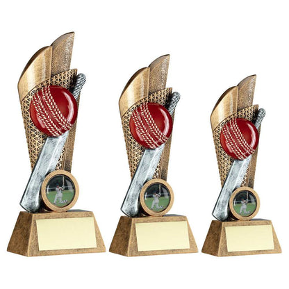 Personalised Cricket Ball and Bat Net Tower Trophy