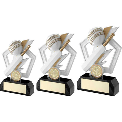 Personalised Cricket Bat and Ball Trophy with Club Logo