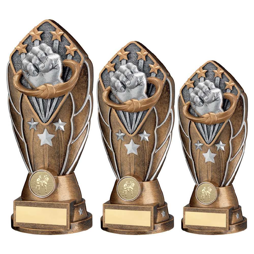 Personalised Martial Arts Fist and Belt Tower Trophy