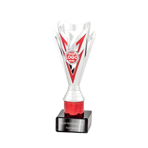 Silver & Red Multi-purpose Trophy Award (2161C/D/E/F)
