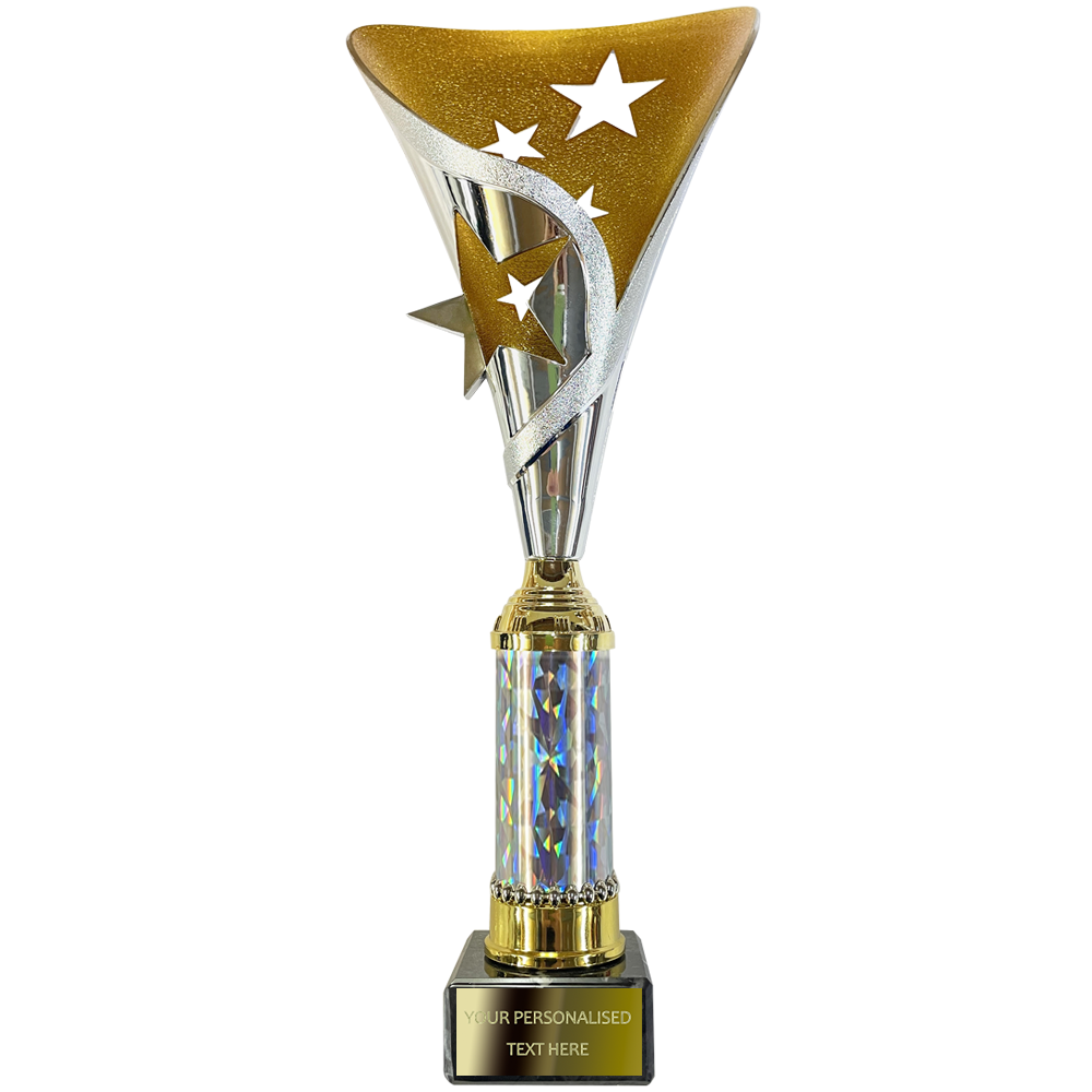 Gold/Silver Multipurpose Trophy Featuring Stars (2399A/B/C/D)