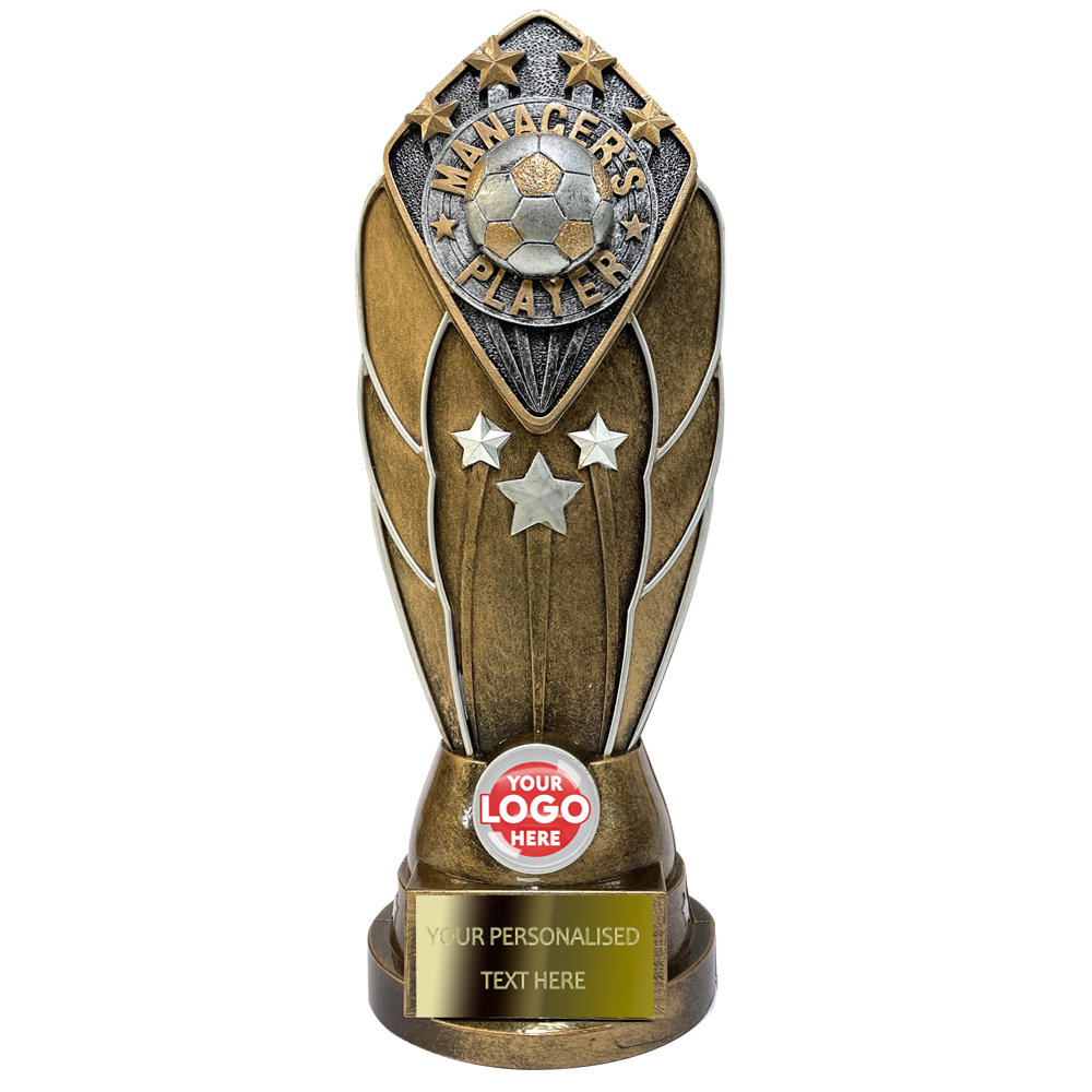 Antique Gold and Silver Multipurpose Football Award (F1021/3/7C)