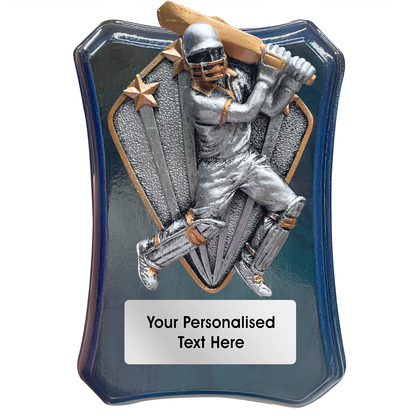 Dark Blue Cricket Wooden Trophy Shield with Diamond Disc Choice (FWP79B)
