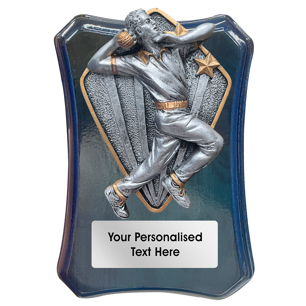 Dark Blue Cricket Wooden Trophy Shield with Diamond Disc Choice (FWP79B)