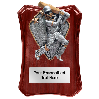 Cricket Wooden Trophy Shield with Diamond Disc Choice (FWP79R)