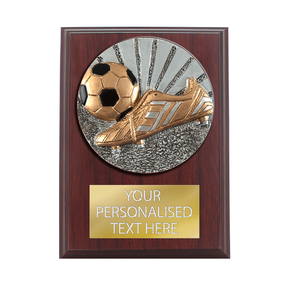 Wooden Shield with Foot&Ball Resin Disc (H121/2)