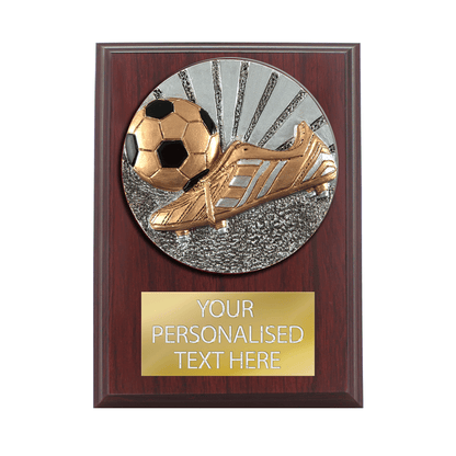 Wooden Shield with Foot&Ball Resin Disc (H121/2)