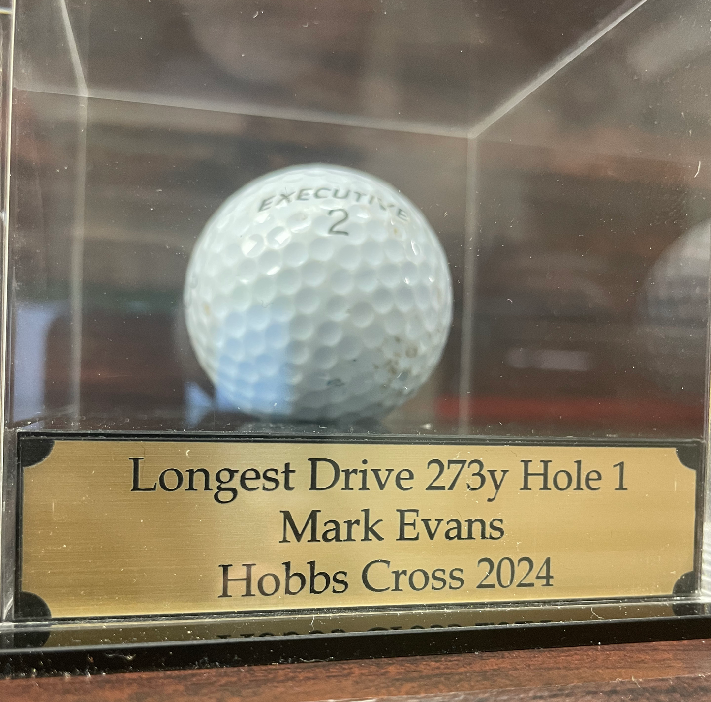 Golf Ball Display Case