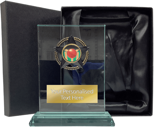 Stylish Cricket Glass Award with Presentation Box (T9054)
