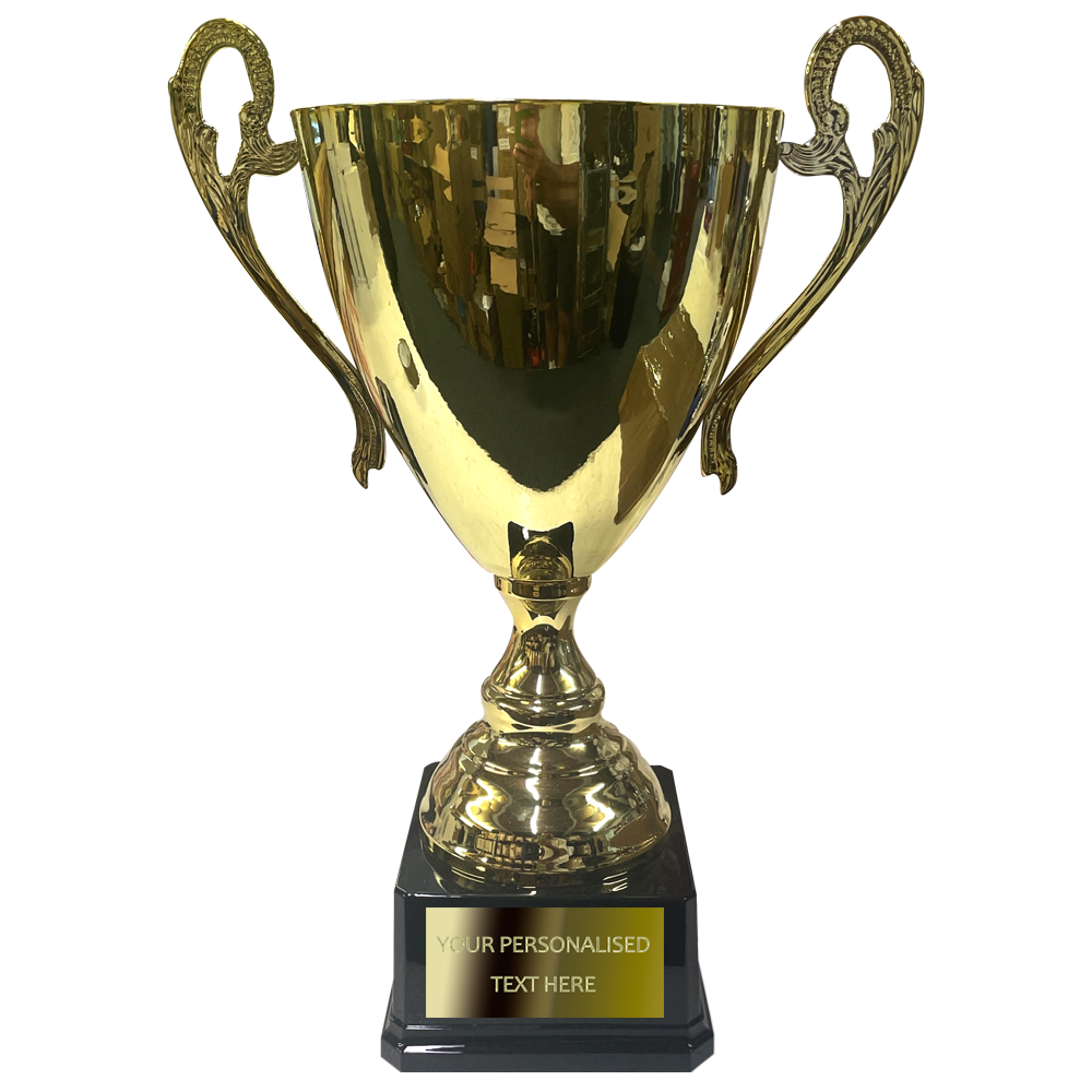 Extra Large Shiny Trophy Cup in Gold with Handles (LT08001D/E/F) BW Trophies