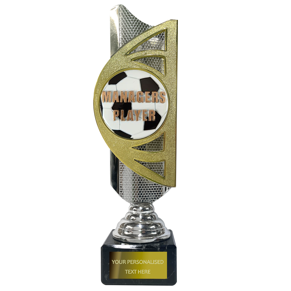 Gold / Silver Award on Marble Base with Embossed Football Disc (BS20B/C) BW Trophies