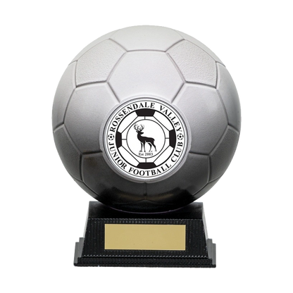 Black & White Football Ball Multicolour Trophy on Stand NB1WHBL