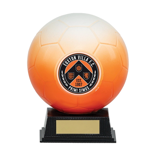 Orange & White Football Ball Multicolour Trophy on Stand NB1WHO