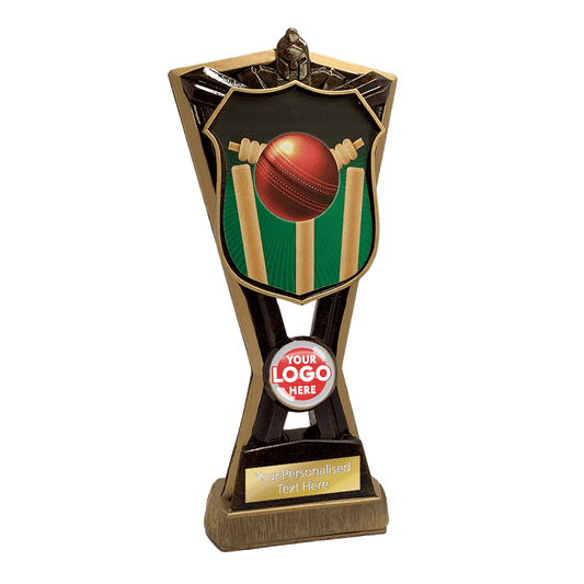 Cricket Shield Trophy Award CRI (RF15159F)