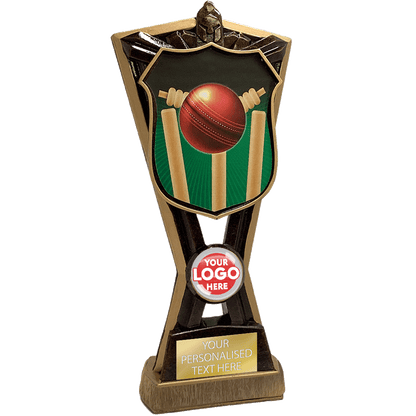 Cricket Shield Trophy Award CRI (RF15159F)