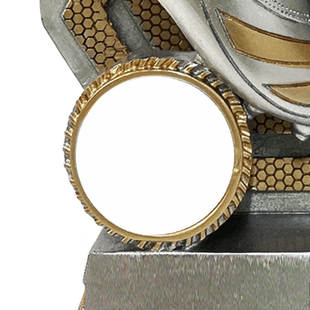IO - Remarkable Silver and Gold Football Award (RFTI1305SP) BW Trophies