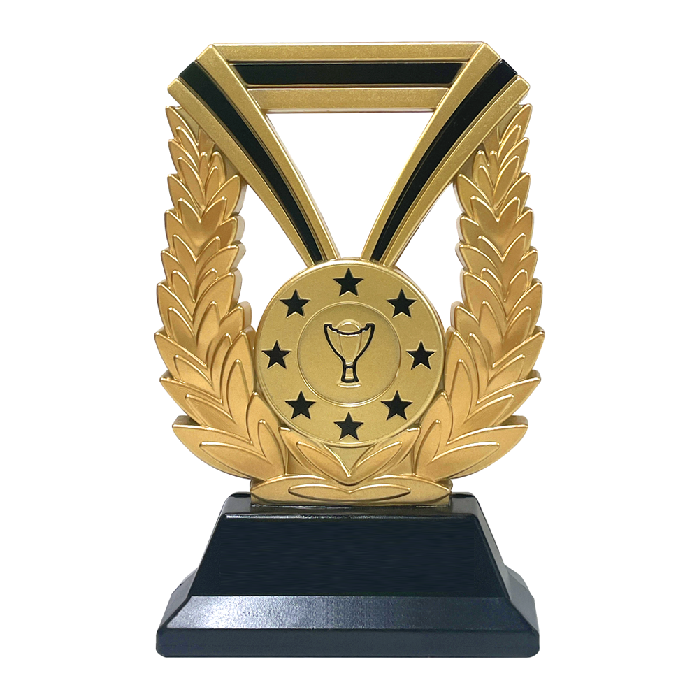 Multipurpose Gold & Black Resin Trophy Award (RSR600/700)
