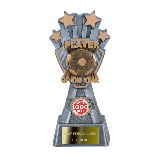 Antique Silver and Gold Multipurpose Football Award (SC4)