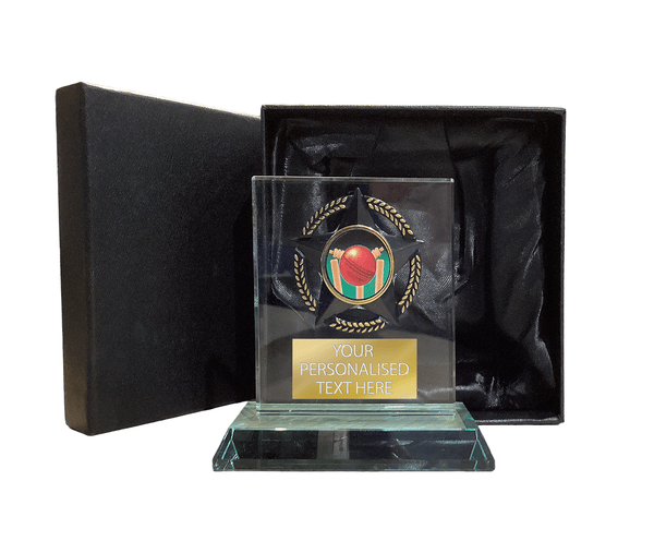 Stylish Cricket Glass Award with Presentation Box (T9054/5/6)