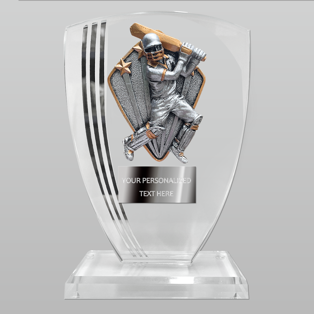 Quality Cricket Glass Award with Choice of Diamond Disc (T3682)