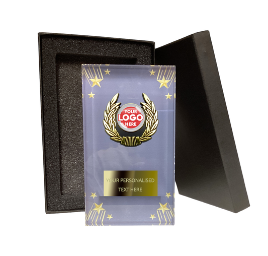 Stylish Rectangular Trimmed Glass Award (T7868/70)