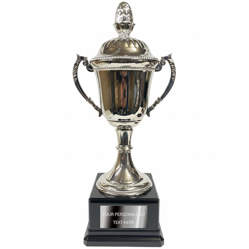 Silver Nickel Cup Trophy with Lid (SV844)