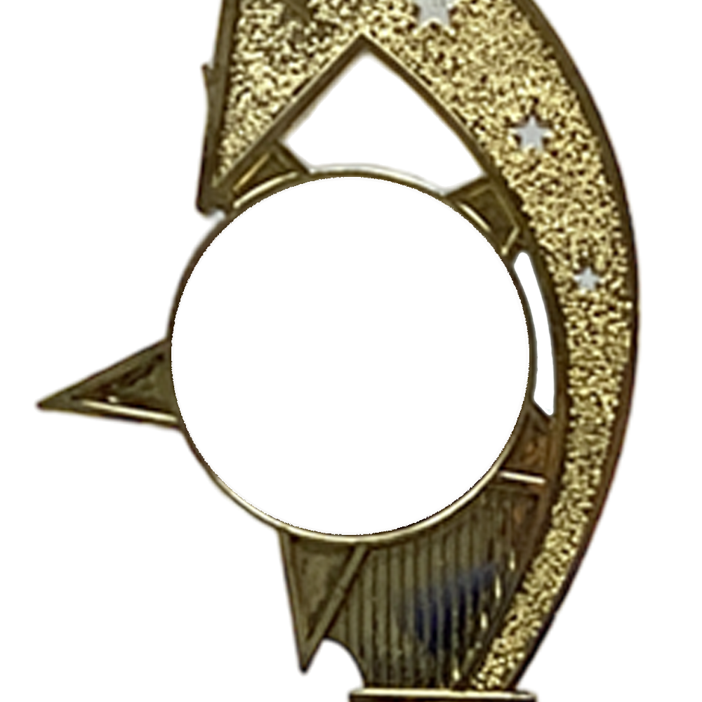 Golden-based Trophy Award with Stars Design (X731-01)