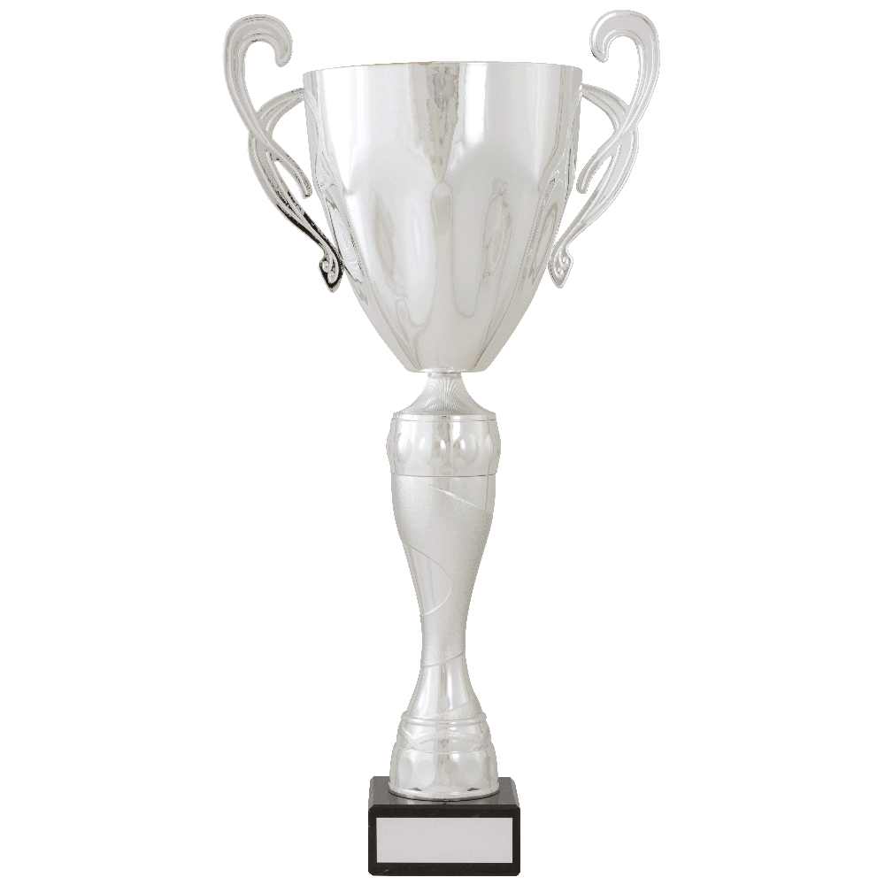 Prestigious Large Silver Metal Cup (BW2313 DEF)