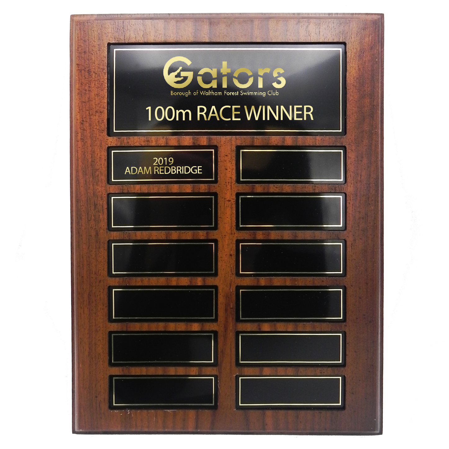 Annual Shield with laser engraved metal plates