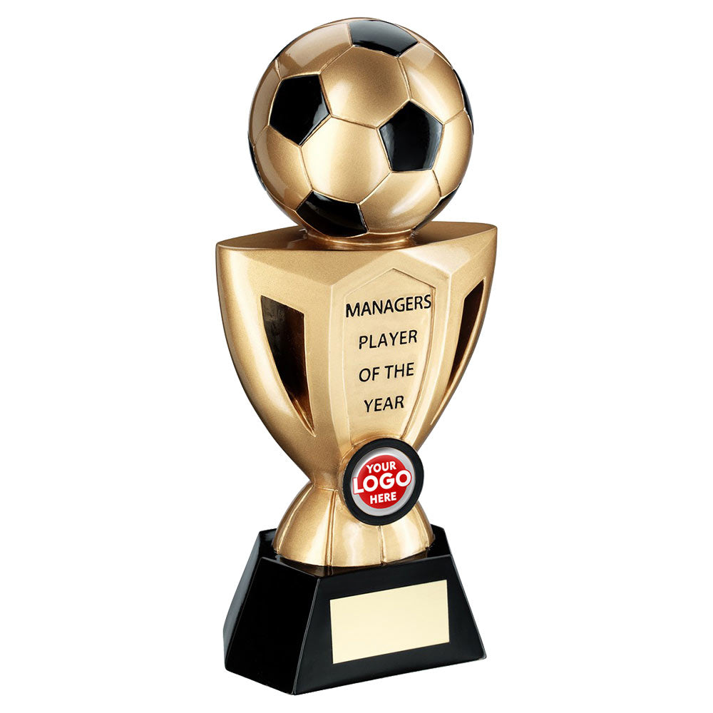 Manager's Player Resin Football Award (RF980MA)
