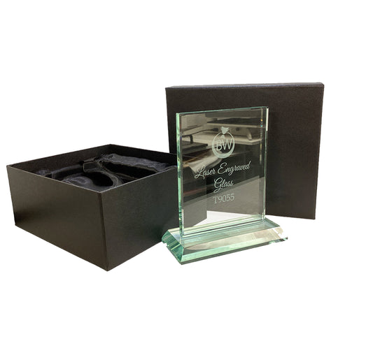 Stylish Rectangular Clear Glass Gift/Award (T9054)